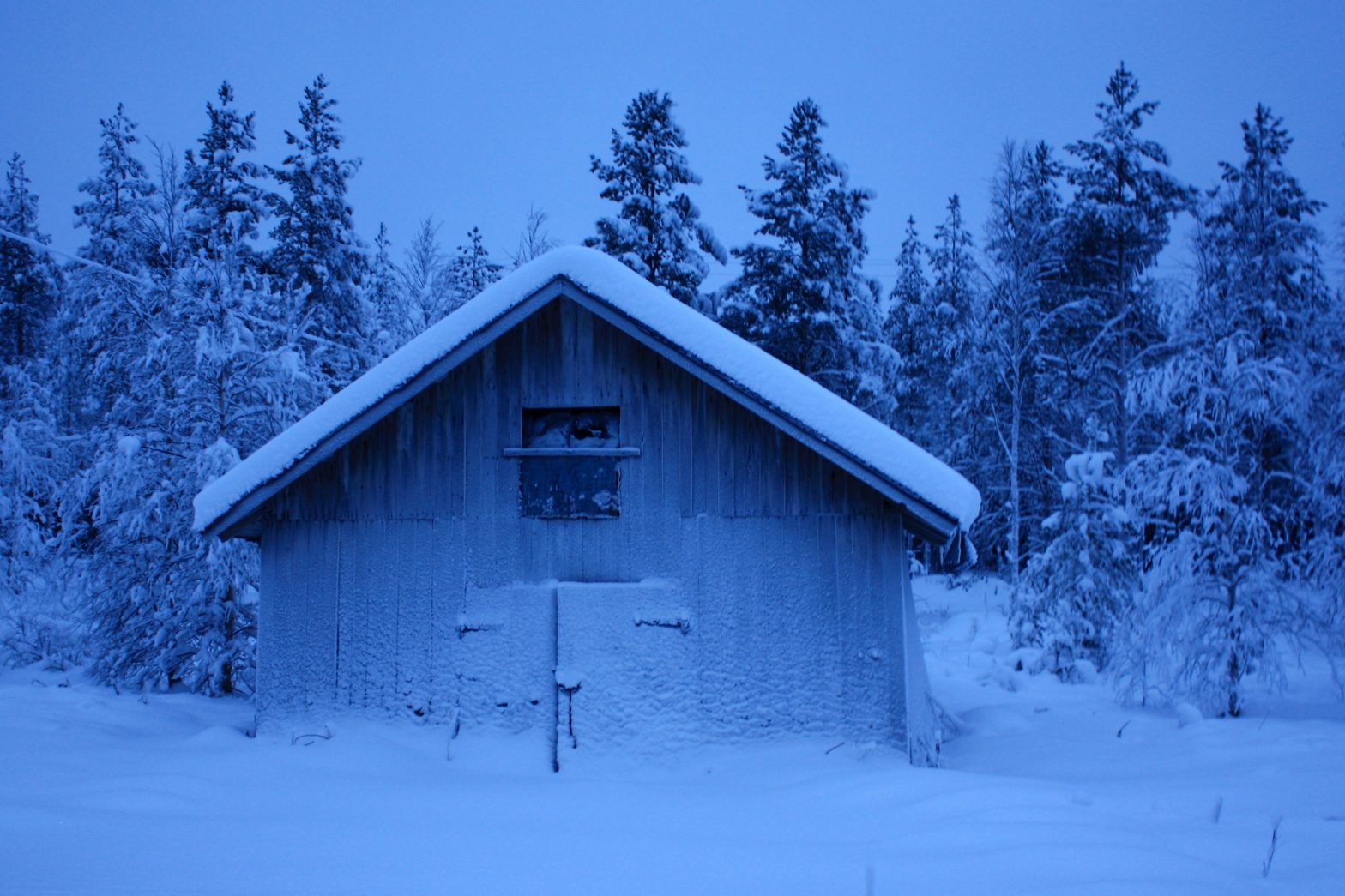 talvimaisema